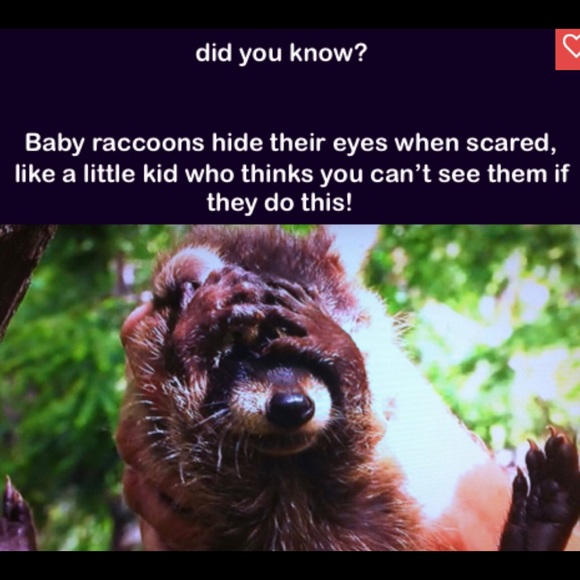 💥COMMENTS FULL LIKE NEW FOLLOW GAME #2 With the 🥕 carrot. - Picture 12 of 16